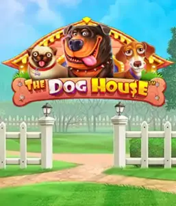 Pragmatic Play's The Dog House adventure, featuring an adorable adventure among playful pups. Enjoy features including multipliers, designed for providing exciting wins. A must-try for those who enjoy an amusing atmosphere and the opportunity to win big.